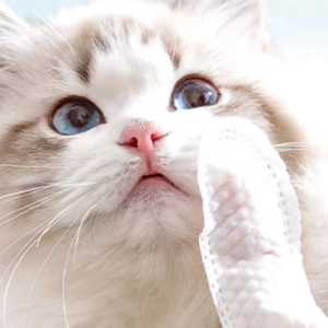 No-wash gloves
