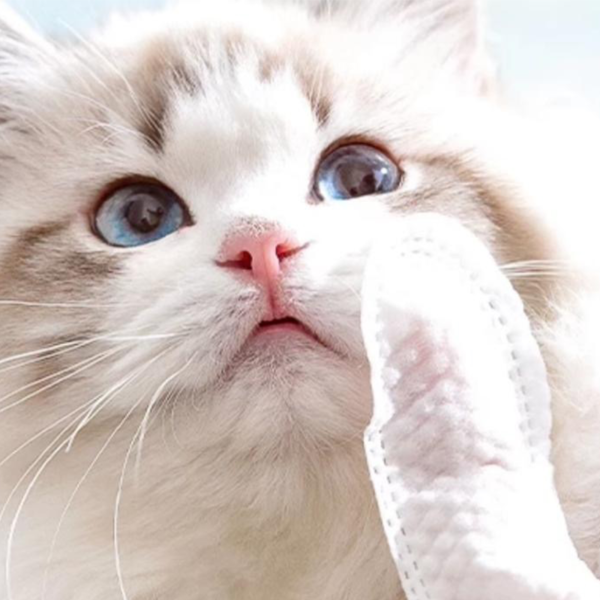 No-wash gloves