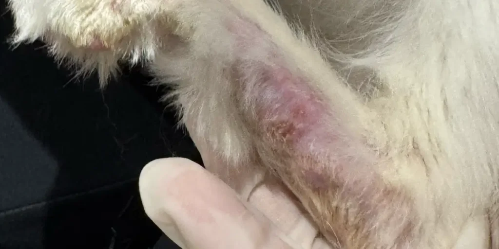 before treatment